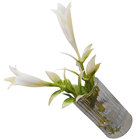 Milisten Mini Mini Lily artificiale minuscolo giglio Miniature Mini Flower Pot Craft mini fiori di casa fiore della casa delle bambole decorazioni per la casa delle bambole resina