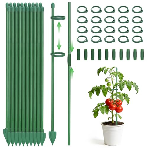 KINGLAKE 40cm Pflanzenstütze, Pflanzstäbe Rankhilfe Zimmer mit Clips, Einstellbar Pflanzenhalter Blumenstütze, Rankstäbe für Tomaten Monstera Orchideen Rosen-20 Stück