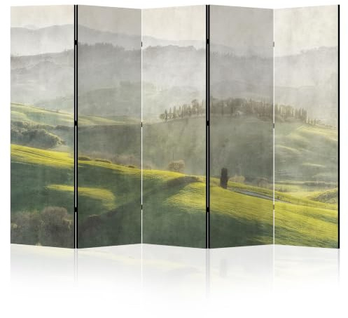 LUMASOUL Paravent på ena sidan – Paravent rumsavdelare inomhus – 225 x 172 cm motiv natur skandinavisk grön
