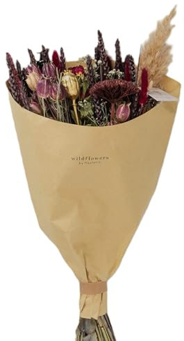 Trockenblumen Feldstrauß Scharlachrot – Handgebundener Trockenblumenstrauß – Tolle Blumen Strauß Dekoration, ewig haltbar Blumenliebhaber (50cm Höhe)