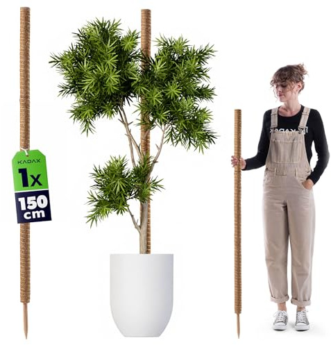 KADAX Monstera Rankhilfe – Pflanzstab aus Kokosfaser (150 cm), Kokosstab & Moosstab für Zimmerpflanzen, Kletterhilfe & Pflanzenstütze für Innen- und Außenbereich