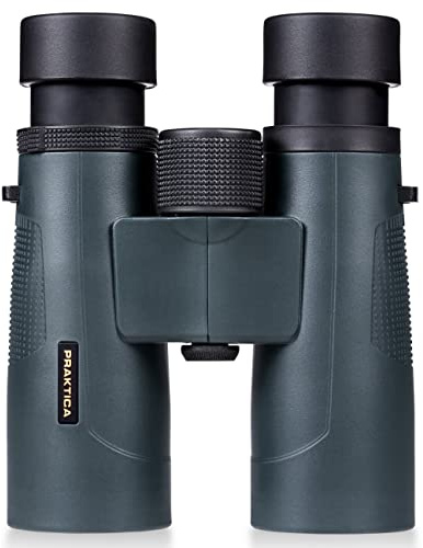 Praktica Pioneer R 8 x 42 mm vattentät kikare blå – takprisma premium helt flerbelagda glaslinser för fågelskådning, djurliv, vandring och mer