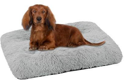 Domarex Hundebett Katzenbett weich flauschig 70x50 cm - orthopädisches Haustierbett für kle-ine Hunde & Katzen - rutschfestes, pflegeleichtes Kuschelkissen aus Polyester mit Silikonfüllung - Grau