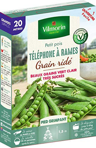 Vilmorin Pois Téléphone a rames Boite série 20m, Vert