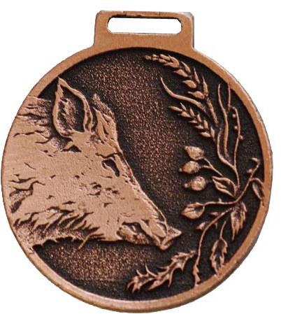 GTK - Geweihe & Trophäen KRUMHOLZ Medalla Decorativa de jabalí, Color Bronce