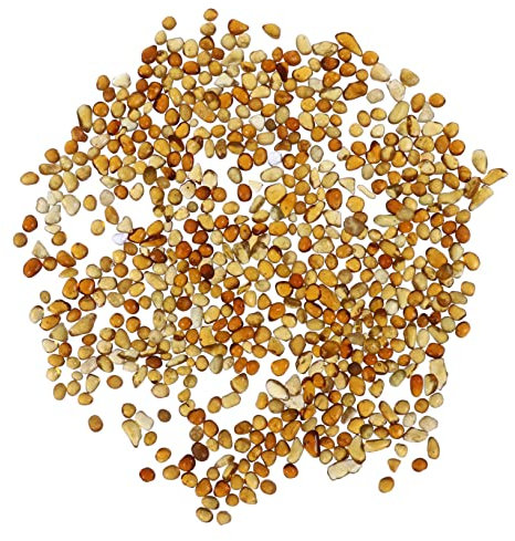 Gatuida Piedras De Rocas De Vidrio para Pecera De Vidrio para Acuarios Piedra De Transparente para Plantas De Decorativas para Acuarios