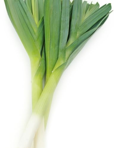 semi di porro biologici, porri, varietà antiche, fresche, resistenti per balconi da appartamento per giardino 200pcs
