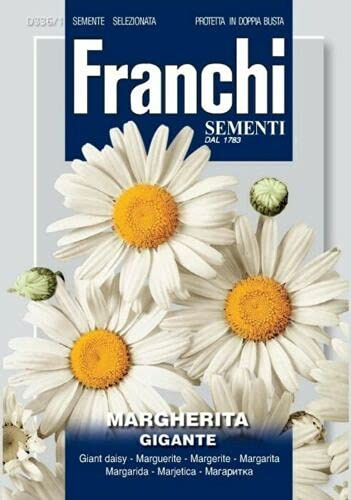 Semi Margherita Gigante Fiori Franchi Sementi 2g