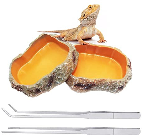 Reptile Growth terrario rettili 2 Ciotole per Cibo 2 Pinzette in Acciaio Inossidabile/Molle 27 cm Lunghe dritte/Curve per criceti, tarantole, Draghi barbuti, Tartarughe ，Geco leopardino，Serpente