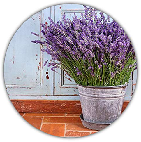 Lavande (Lavandula angustifolia) - 50 graines/Pour l'assaisonnement alimentaire ou pour attirer l'attention/odeur intense