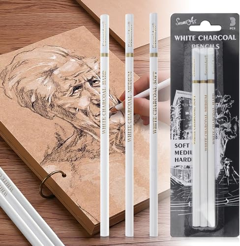 UICCVOKK Charcoal Drawing Pencils Set, White Charcoal Pencils for Artists, Soft/Medium/Hard(3 Pcs)