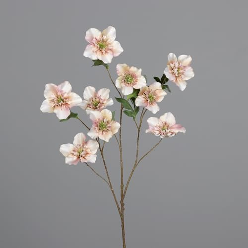 Seidenblumen Roß Großer Christrosenzweig 95cm DP Kunstblumen künstliche Christrose Helleborus Schneerose Blumen Pflanzen (Creme)
