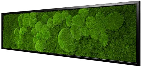 Moos Design | Moosbild in versch. Größen (Fifty Fifty Design, Holzrahmen: schwarz, 100 x 35 cm)
