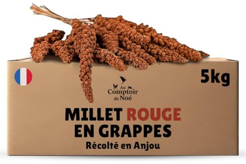 Au Comptoir de Noé Millet Rouge en Grappes 5kg, Alimentation pour Oiseaux, Récolté en France en Anjou, 100% Naturel, Millet Français pour Développer la Vitalité, Graines pour Oiseaux Domestiques