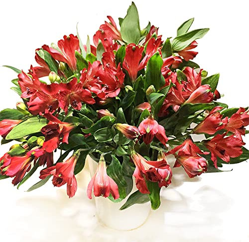 Blumen Geschenkset - Blumenstrauß mit roten Alstromerien - Inklusive Keramikvase und Grußkarte