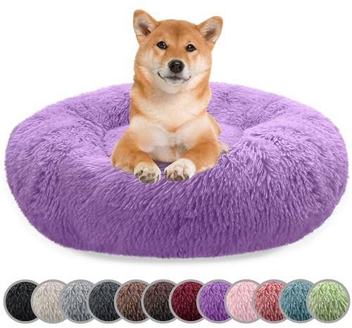 bluzelle Hundebett für Mittelgroße Hunde, Lila, M-80 cm
