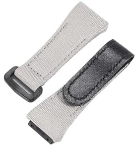 Svincoter 25-20 mm Canvas-Armband, passend for Richard Mille RM011 RM53 RM50-Serie, Schraub-Stil-Herrenuhrenarmband(Grey)