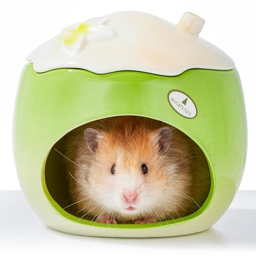 BUCATSTATE Hamster Versteck aus Keramik in Kokosnuss-Form, geeignet für Zwerghamster, Mäuse, Syrische Hamster, Rennmäuse, Goldhamster und andere Kleintiere (Grün – Groß)