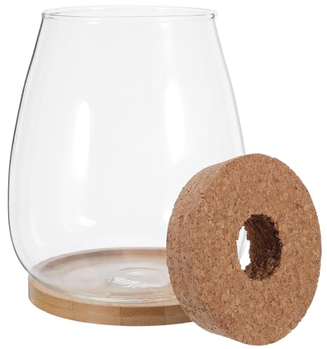 MAGICLULU Lot de 2 Sets de Sets de Vases Hydroponiques en Verre pour Plantes D’intérieur, Grand Format avec Bouchon en Liège Perforé et Plateau en Bambou, Contenants de Propagation