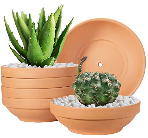 Terra Cotta Vasi Laergin in terracotta poco profonda da 16,43 cm, con foro di drenaggio, vasi in ceramica per piante da interno ed esterno (confezione da 6)
