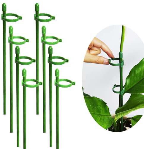 Belit 8 Stück kleine Pflanzenstützen-Pflanzenpfähle, verstellbarer Gartenpfahl, einzelner Stiel, Pflanzgefäß-Stützring für Orchidee, Rose, Pfingstrose, Paprika und mehr, 30,5 cm