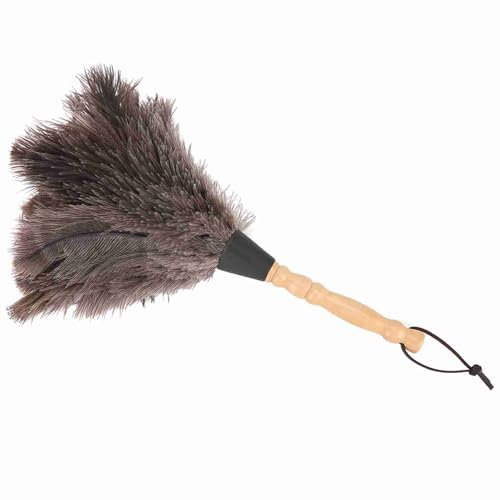Plumero de Plumas de Avestruz, Herramienta de Limpieza para Quitar el Polvo, para Libros, Artículos Decorativos