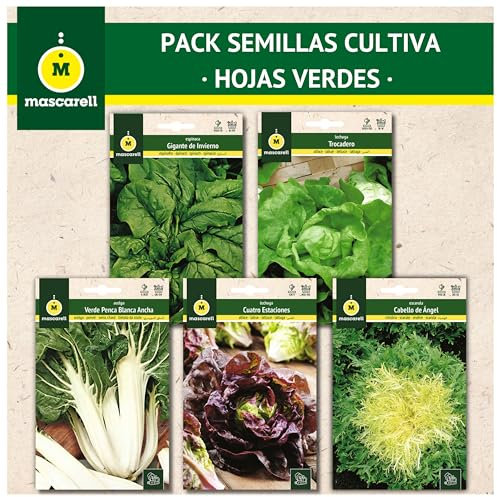 Semillas Mascarell, PACK SEMILLAS CULTIVA HOJAS VERDES, Kit Huerto en Casa Fácil de Cultivar, Contiene Acelga Verde, Espinaca, Lechuga, 2 Variedades de Lechuga & Escarola.