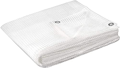 Kippen 6062C1 - Telone Retinato Trasparente con Grammatura da 130 g/m². Taglia 3x4 (12 m²)