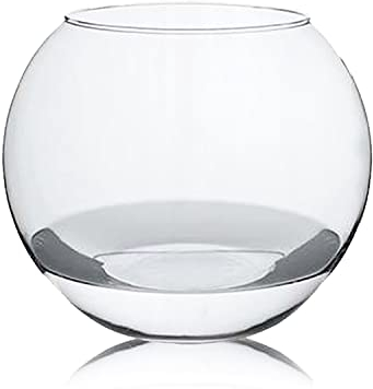 Aquarium Boule Vase en Verre - Diamètre 23.9 x Hauteur 20 cm. -JUANIO-
