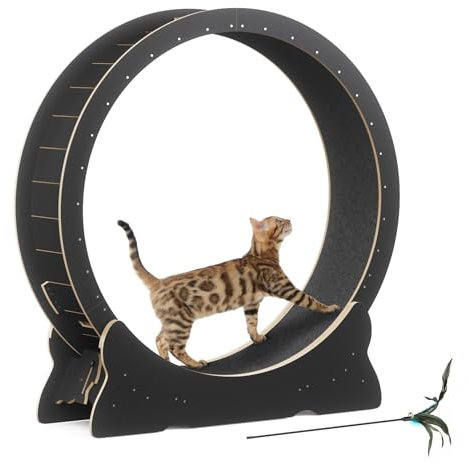 Mondeer Katzenlaufrad für Indoor-Katze, 110cm Laufband mit Abnehmbaren Teppichboden für Katzen Holzlaufrad Laufrad für Kleines Mittel Großes Katze Fitness-Gewichtsverlust-Gerät, Schwarz