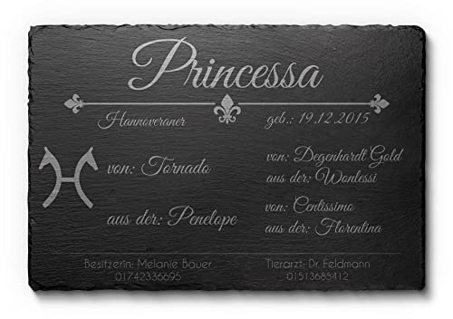 CHRISCK design Witterungsbeständiges Boxenschild aus Natur Schiefer | mit individueller Gravur mit Namen und Abstammung | 30x20 cm | wahlweise Selbstklebend oder mit Bohrlöchern (D5)