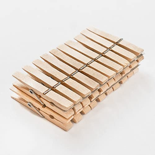 Chinchilla® Wäscheklammern 20 Stück aus zertifiziertem Buchenholz – Qualität Made in Germany | vielseitig einsetzbar, zum Wäsche aufhängen und für Bastelarbeiten | plastikfrei, nachhaltig & stabil