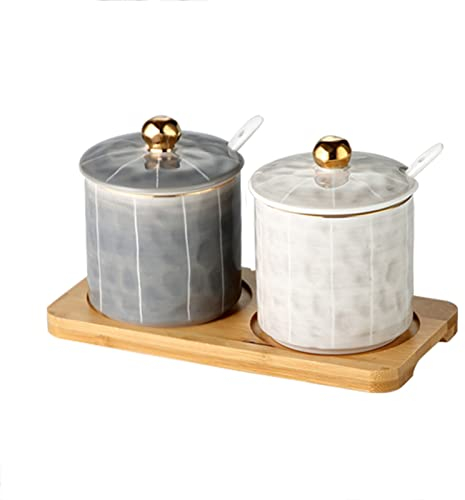 FQCXCKJ Azucarero de estilo europeo con cuchara de cerámica, salero, azucarero, tarros de especias de porcelana (gris oscuro+gris claro 300 ml)