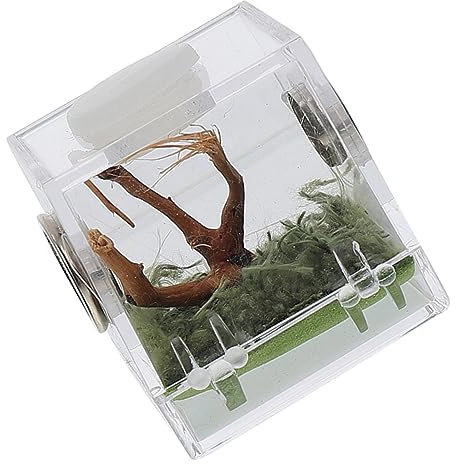 BCOATH Sprungspinnen Zuchtbox Acryl Terrarium Mit Belüftung Transparent Reptilien Terrariumbox Für Insekten Und Reptilien Haustierhaltung