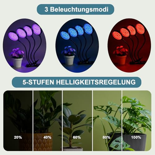 zenlavia Pflanzenlampe LED Vollspektrum, 312 LED 4Köpfige Grow Lampe Rund, 3 Lichtmodi - 360° Flexible Schwanenhals Pflanzenlicht mit Dimmfunktion für Zimmerpflanzen, Kräuter, Gemüse, Sukkulenten