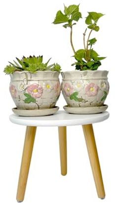 Yumzxin Wooden Plant Stand - Indoor Flower Pot Holder, Modern Side Table for Home Decor, Small Plant Shelf 22 x 28cm