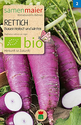Samen Maier 890 Rábano otoño e invierno azules (semillas de rábano orgánicas)