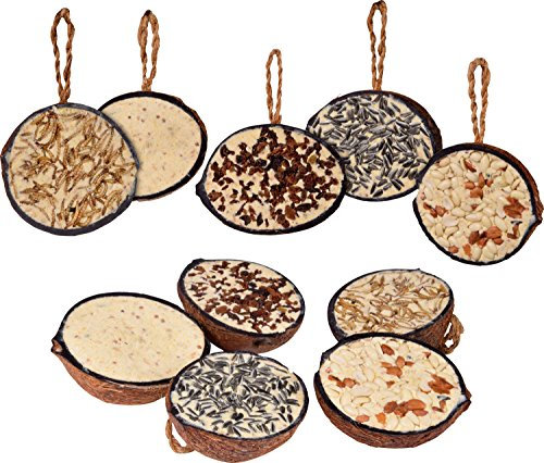 dobar, 10 noci di cocco riempite da appendere, 5 varietà di mangime per uccelli selvatici, 2 kg (confezione da 1 pezzo)
