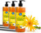 90% Arnica Forte Gel. Familiar Pack Rapid Muscle & Joint Pain Relief Balm. Bruising & Swelling Massage Gel. 100% Natural Anti-inflammatory (Bruises). Relaxing Arnica Cream Skin - 3 x 200 ml
