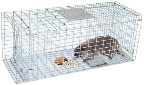 32 Inch Humane Live Animal Cage Trap Steel Catch Release Rodent Cage for Rabbits, Groundhog, Stray Cat, Squirrel, Raccoon, Mole, Gopher, Chicken, Opossum, Skunk, Chipmunks, Silver, (NCD1427)