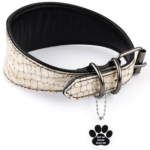 FAVPET Luxus Echtleder Windhund Halsband Breit mit QR Code Anhänger, Weiches Lederhalsband Hund Breit Whippet Italienisches Windspiel Saluki Lurcher Spanischer Galgo Greyhound Podenco (Beige, S)