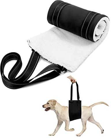 QWORK® Justerbar hundsele (L), hund bärhjälp bärrem hund bak lyft stöd sele för funktionshindrade, skadade, äldre hundar