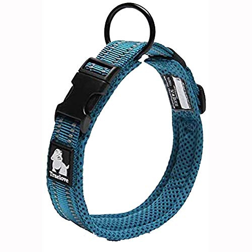 Truelove Hundträningshalsband TLC5011 reflekterande premiumspänne nylonband husdjur hundhalsband, högkvalitativt nylonband ingen kvävning grundläggande halsband nu tillgängliga (L, blå)