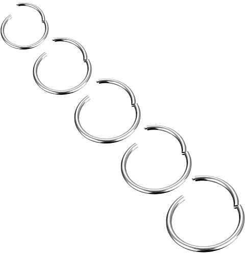 Body CAC 5 Stücke-20G (0,8 mm) Klapp-Clicker-Nasenring, hypoallergen, Titan-Vollreifen, Verschluss in Implantatqualität, Titan-Segmentschläfer, nahtlose Ohrringe, Helix-Piercing für Frauen