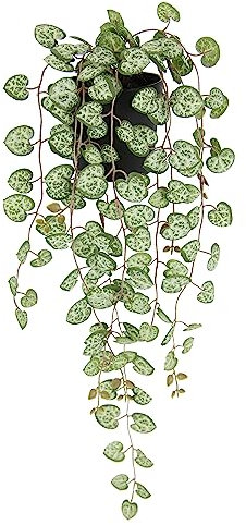 Flair Flower Kunstpflanze Leuchterblume Hängende Pflanzen 1 Stück 45x18x14 cm Grün Dekorativ Kunstpflanze