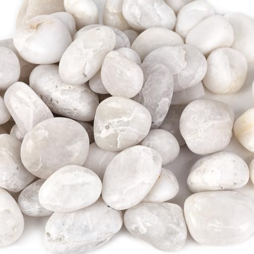 DomeStar Pierres de rivière blanches de 1,2 kg, galets polis décoratifs pour aménagement paysager, vase, aquarium, jardin, extérieur et intérieur, bricolage