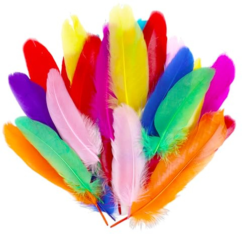 NYTGAH 150 Stück Federn zum Basteln, Natürliche Bastelfedern, Feder Dekorationen für Traumfänger, Kostüme, DIY-Bastelarbeiten, Hochzeitsdekorationen, Halloween, Karneval (Bunt)