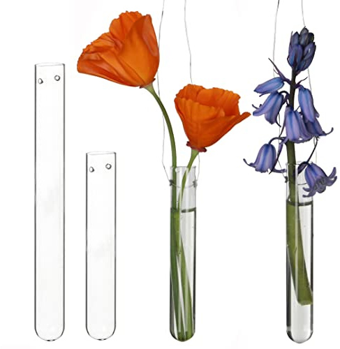 Comforder 12 Glass Test Tubes Vase, Wall Decor Vase, Small Tulip Vases, Glass Vases, Hanging Test Tubes for Flower Arranging (10 cm)