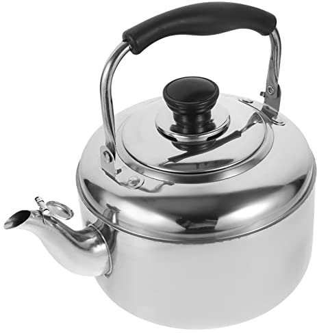 TOPBATHY Bouilloire Sifflante Inoxydable Pour Induction Et Cuisinière Bouilloire à Eau Rapide Économique Et Facile à Nettoyer