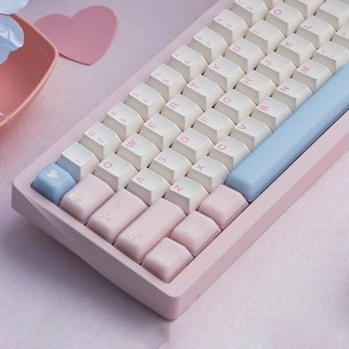 164 Keys Pink Translucent Keycaps PBT Doubleshot Cherry Profile Keycaps Set | Fit for 61/64/87/104/108 Cherry Mx Switches Mechanical Keyboards